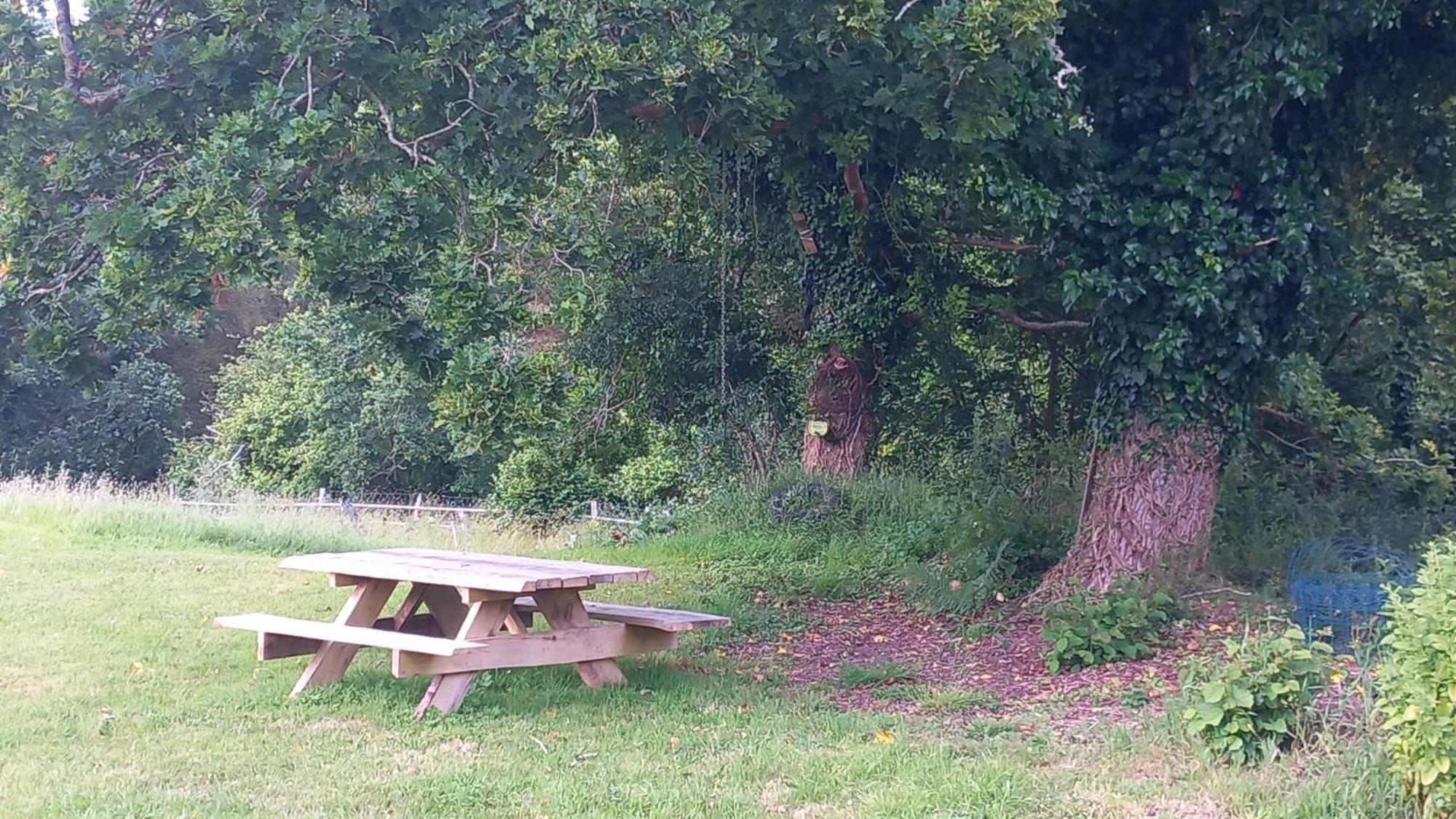 Tente Insolite En Pleine Nature Treduder المظهر الخارجي الصورة